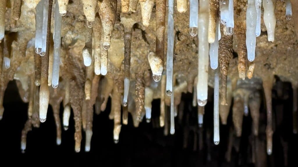 Stalactites