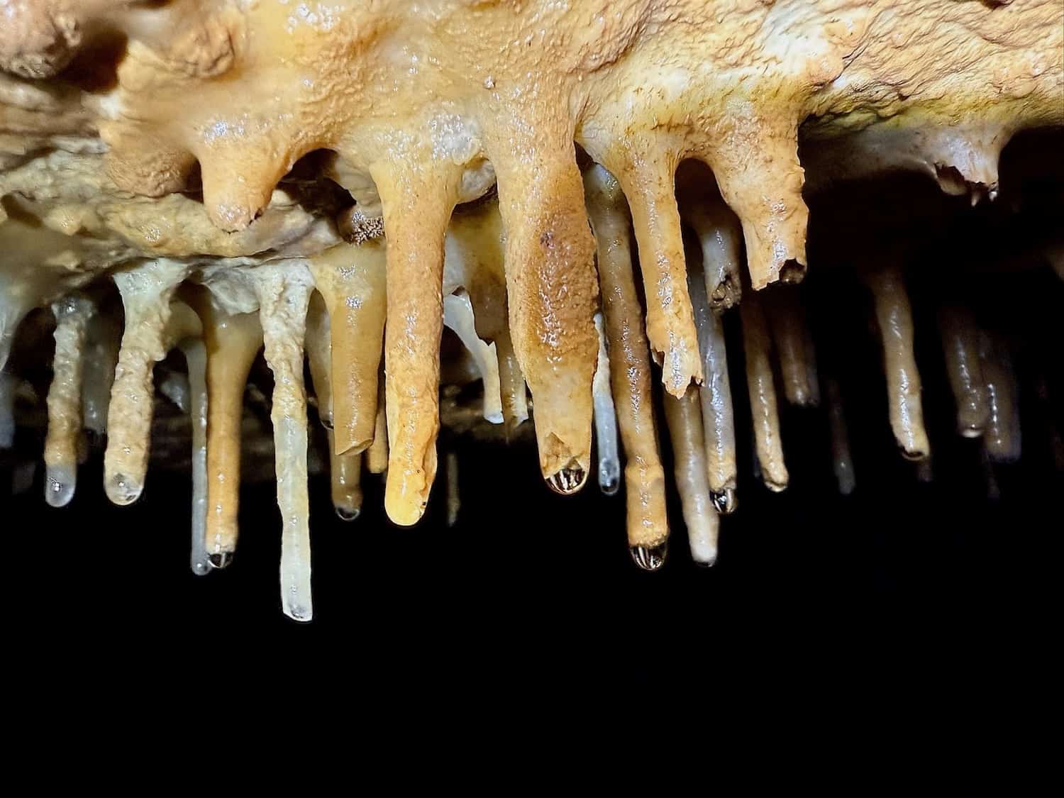 stalactites